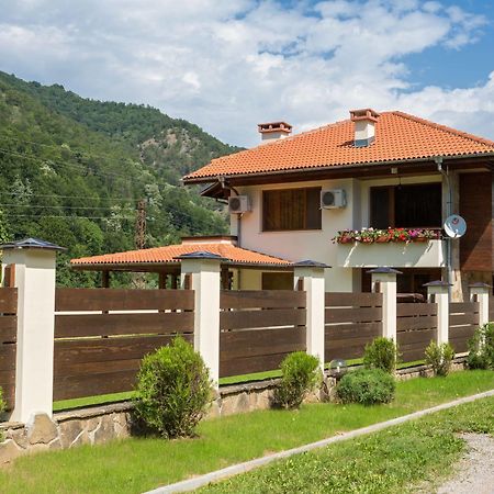 Guest House Vitora Ribaritsa Dış mekan fotoğraf